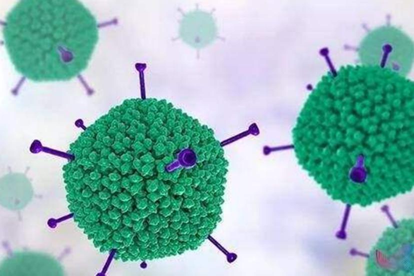 最近流行的病毒性腹泻,病毒性腹泻预防知识