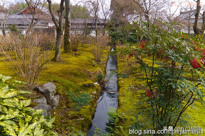 足利高氏进京见醍醐天皇,足利尊氏和后醍醐天皇的关系