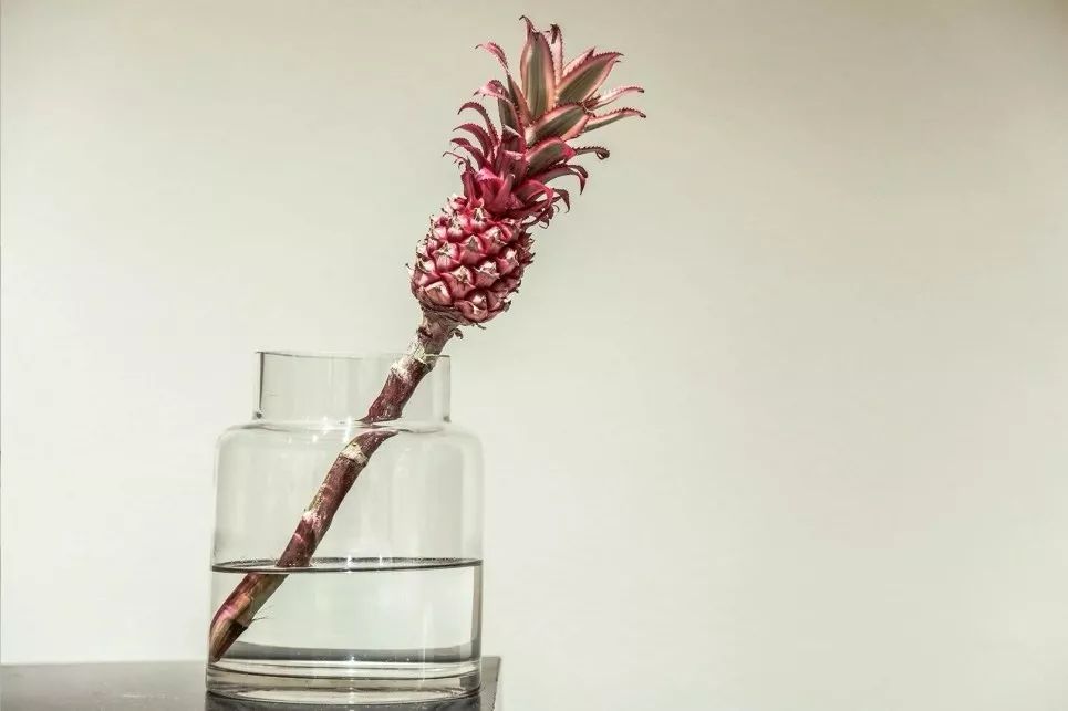 服装竞争激烈,服装行业现状和破局