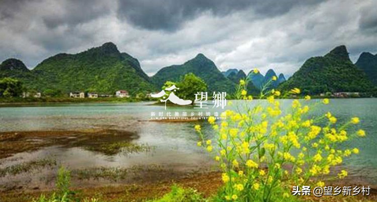 生态农业的产业特征,生态农业的前景怎么样