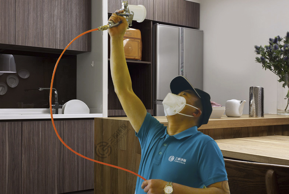 室内除甲醛的植物哪个最好,室内除甲醛十大排名有哪些