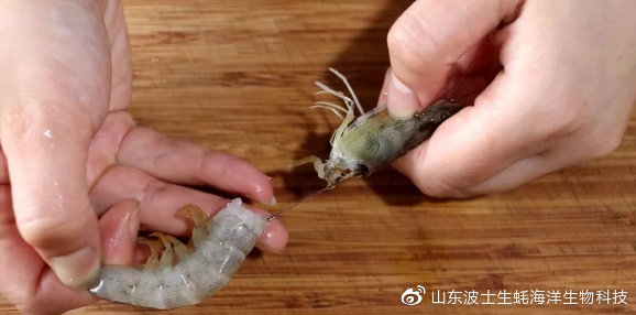 怎么样烤乳山生蚝最好吃,烤生蚝价值百万的秘方送你了