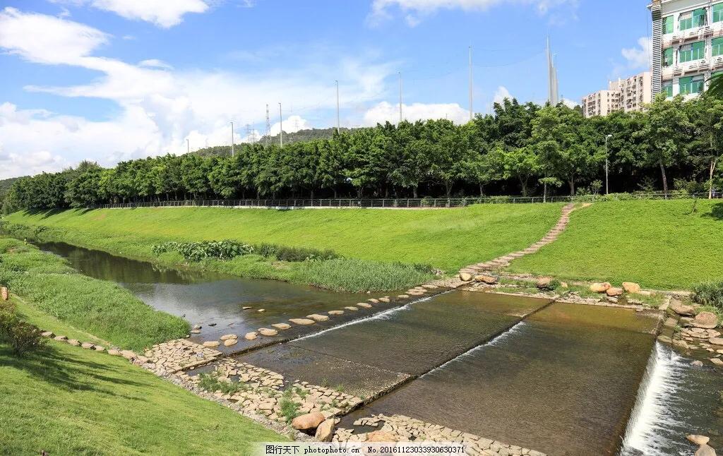 深圳花海公园推荐景点有哪些,深圳花海公园地址在哪里