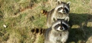 浙江省金华市基本概况,浙江省金华城市什么样