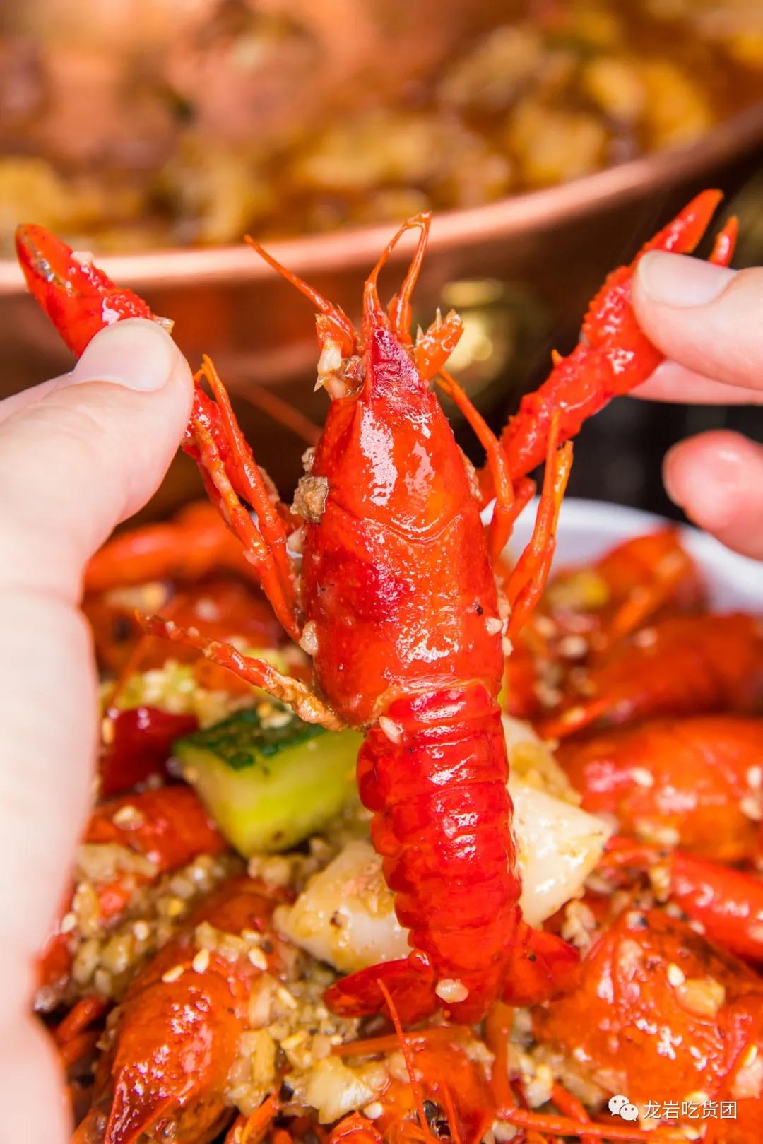 真香吃涮羊肉,真香26元自助火锅