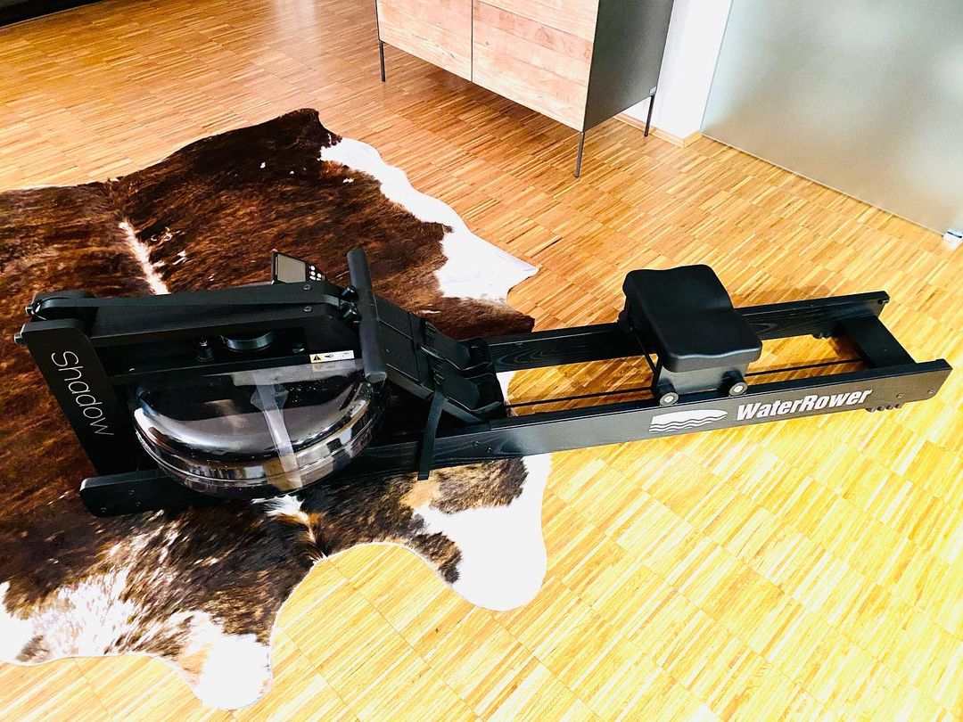 居家体验专业健身，划船机是更好的选择，6个理由告诉你