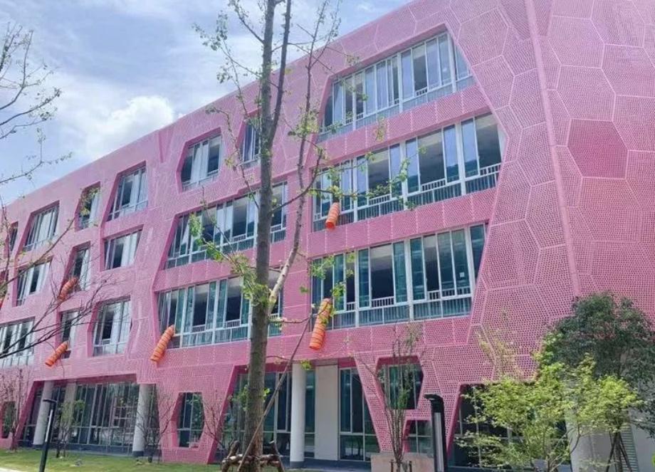 杭州一所网红学校,杭州白小线网红学校