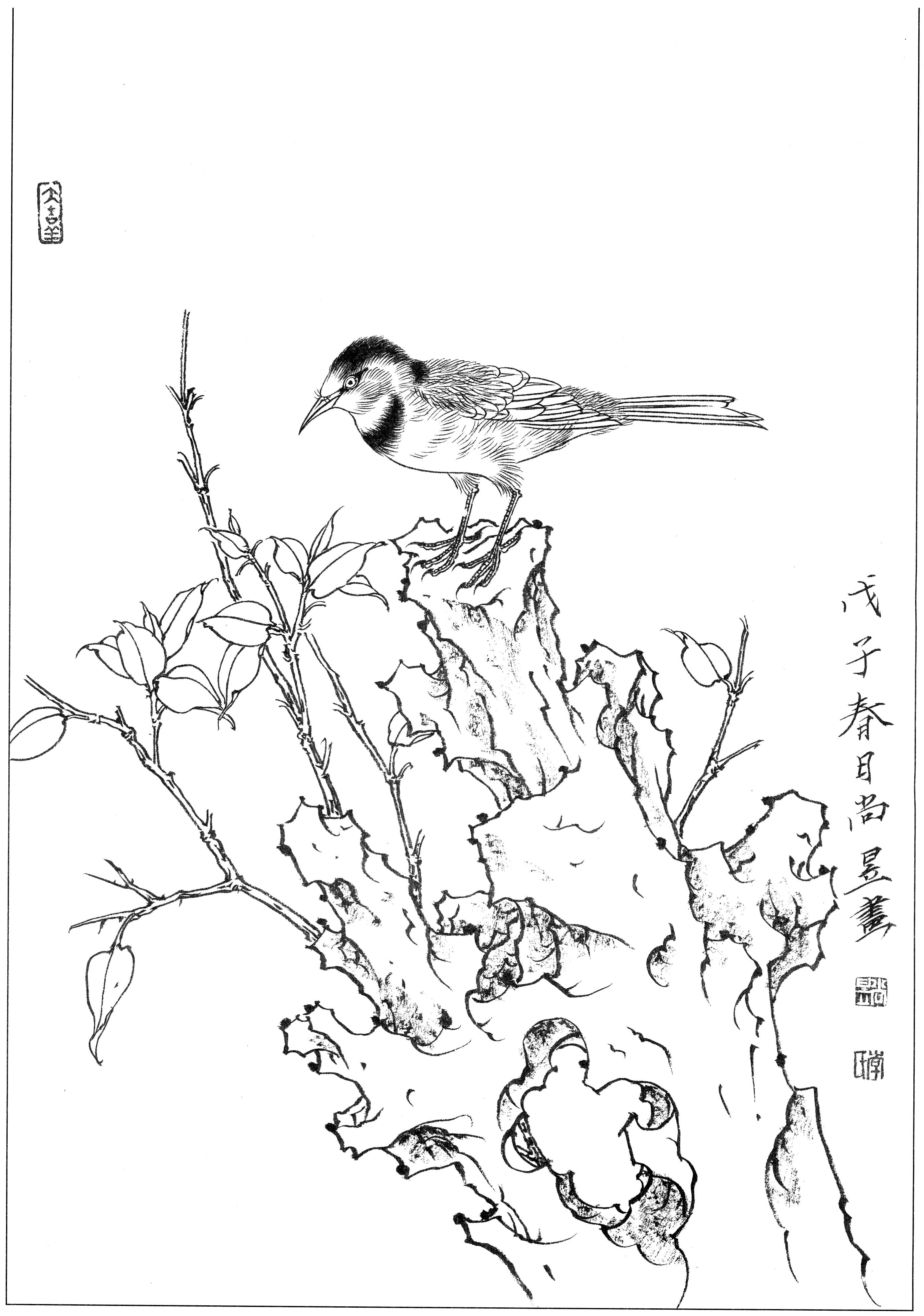 花鸟工笔四条屏白描高清大图,牡丹六尺横幅白描工笔花鸟底稿