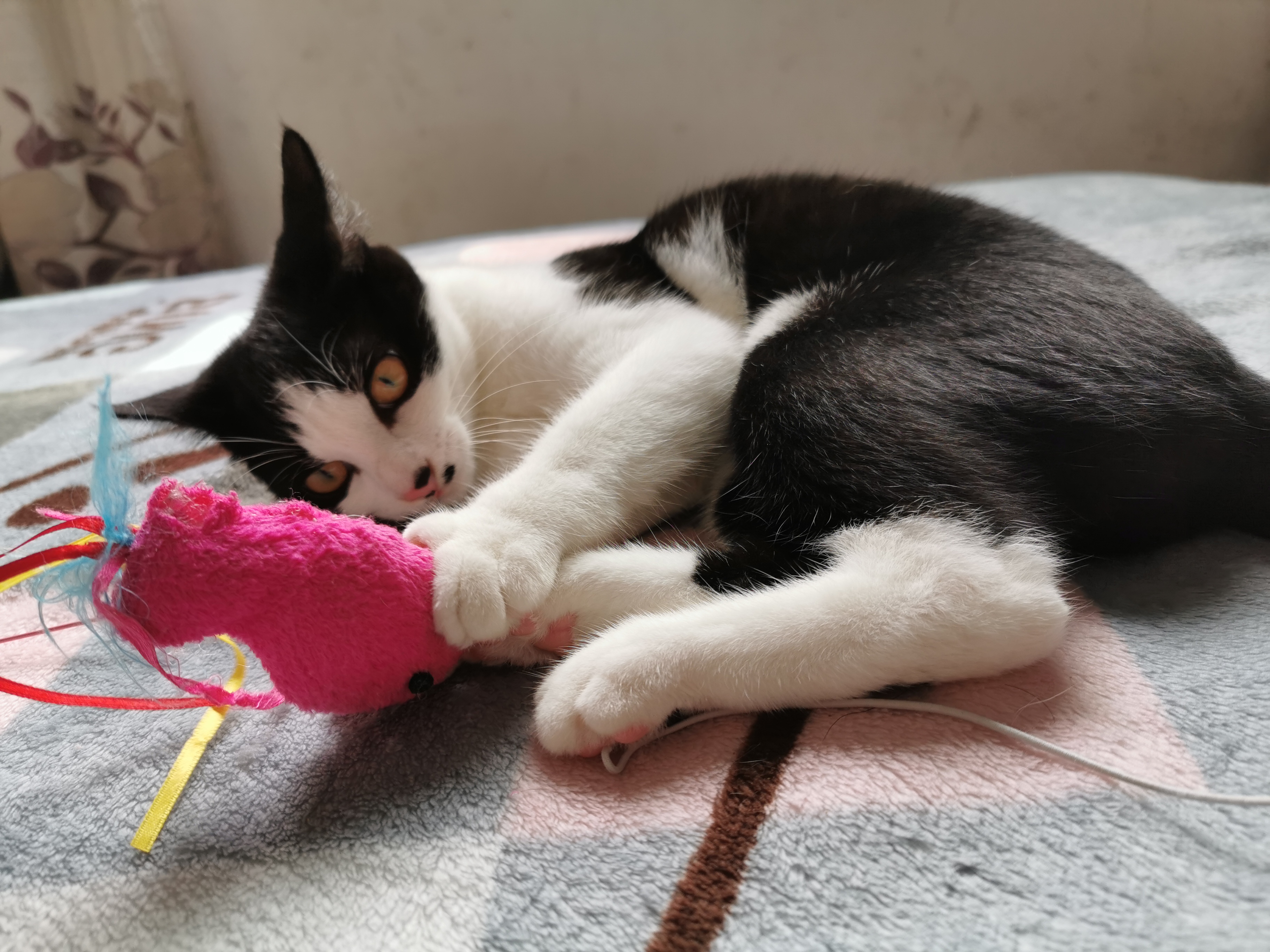 下雨天了我好想你歌词,下雨天了怎么办我好想你原版