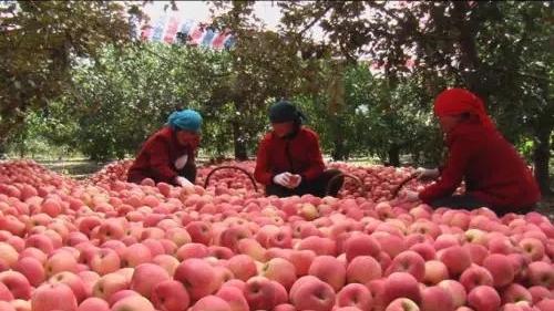 发财记：安徽小伙闯非洲，白手起家多磨难，选对项目，3年大翻身