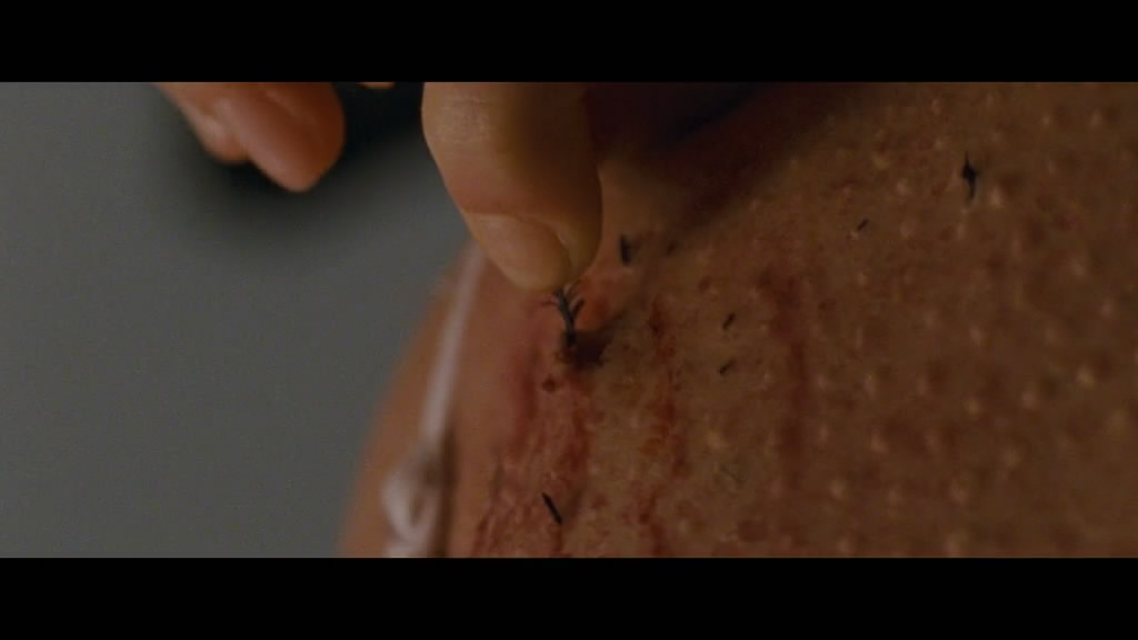 你是自由的出处,你是自由的吗日语教学