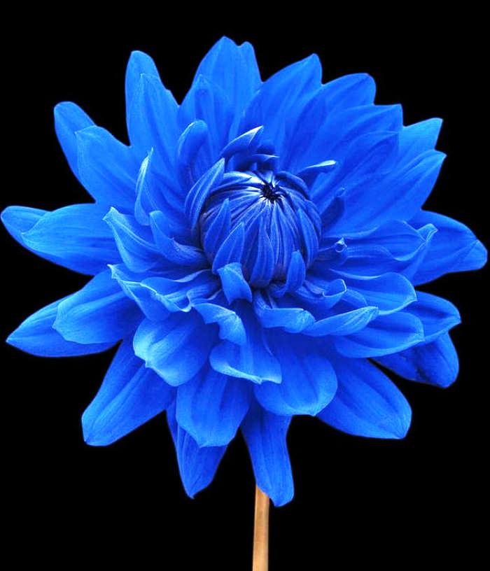 心灵鸡汤经典语录简短一句话,经典走心的心灵鸡汤语录句句精辟