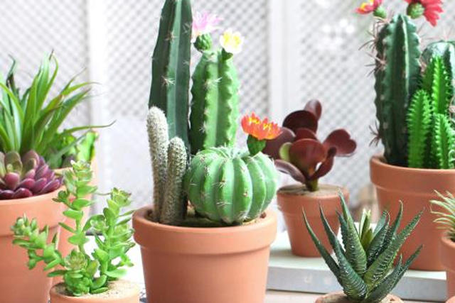 婚礼游戏礼品送什么好,婚礼游戏环节准备什么礼物