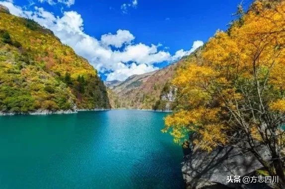 四川改革开放的案例,四川的改革开放成绩