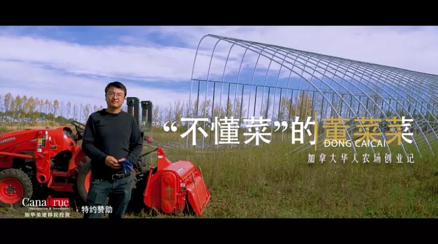 四川人李子柒视频,东北男版李子柒抖音