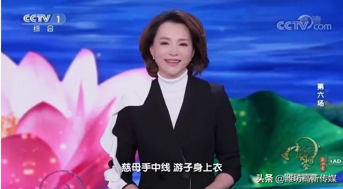 董卿诗词大会经典语录合集,诗词大会董卿经典语录