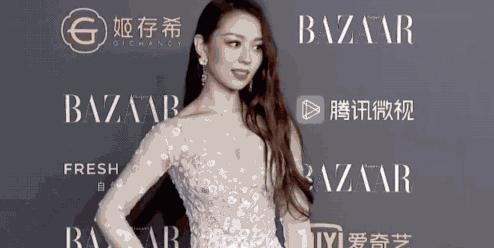 神奇的吉娜,作为郎朗太太的社会学意义