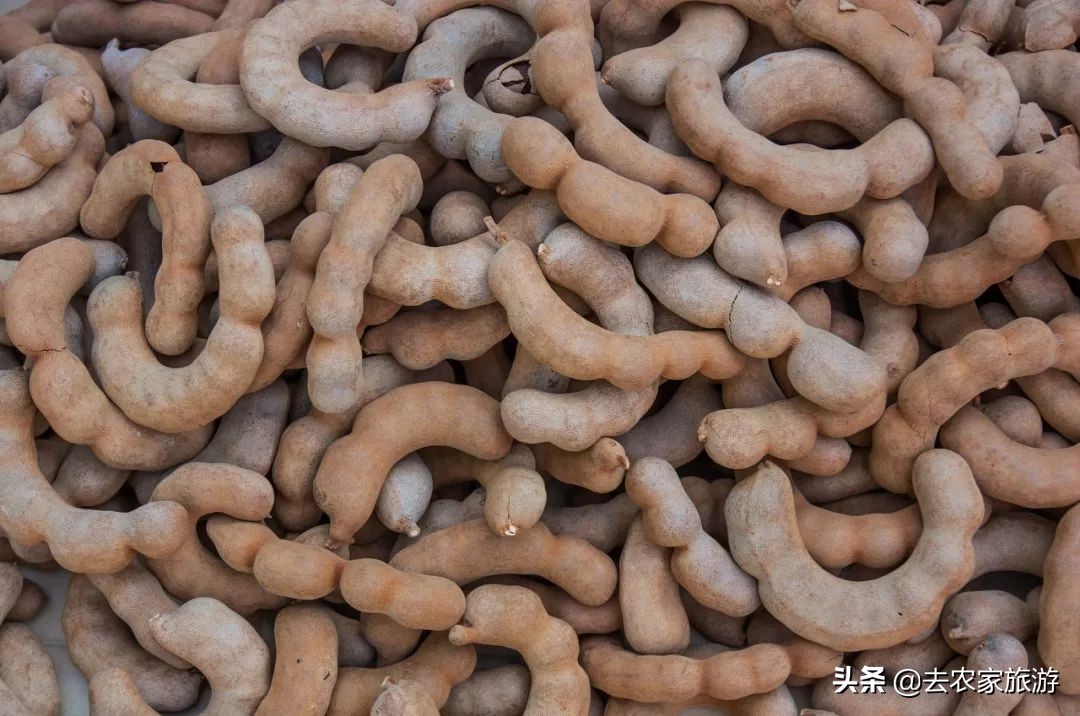 去了趟泰国皮肤变滑了,去泰国胖了十斤