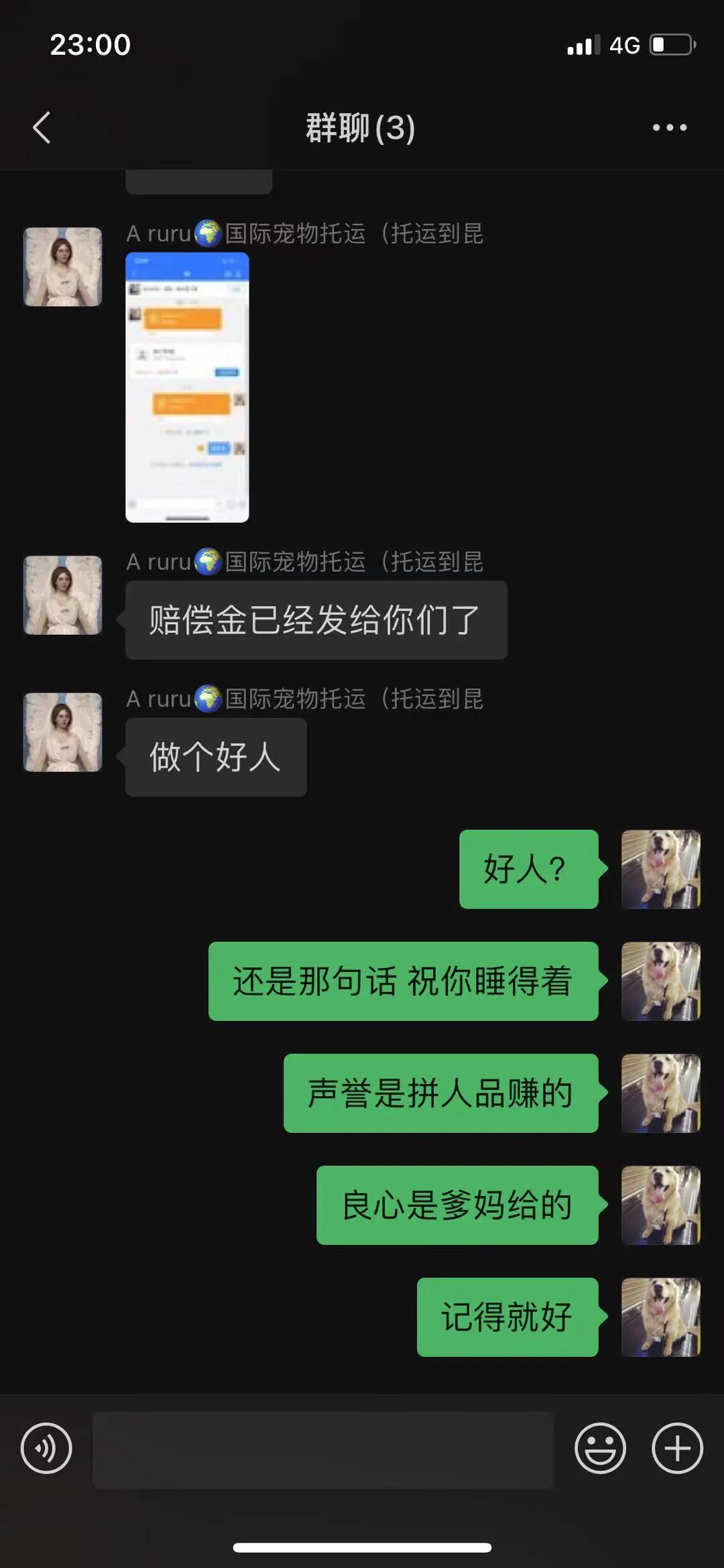 金毛siri被无良商家托运真实视频,金毛被主人丢弃了真是太可怜了