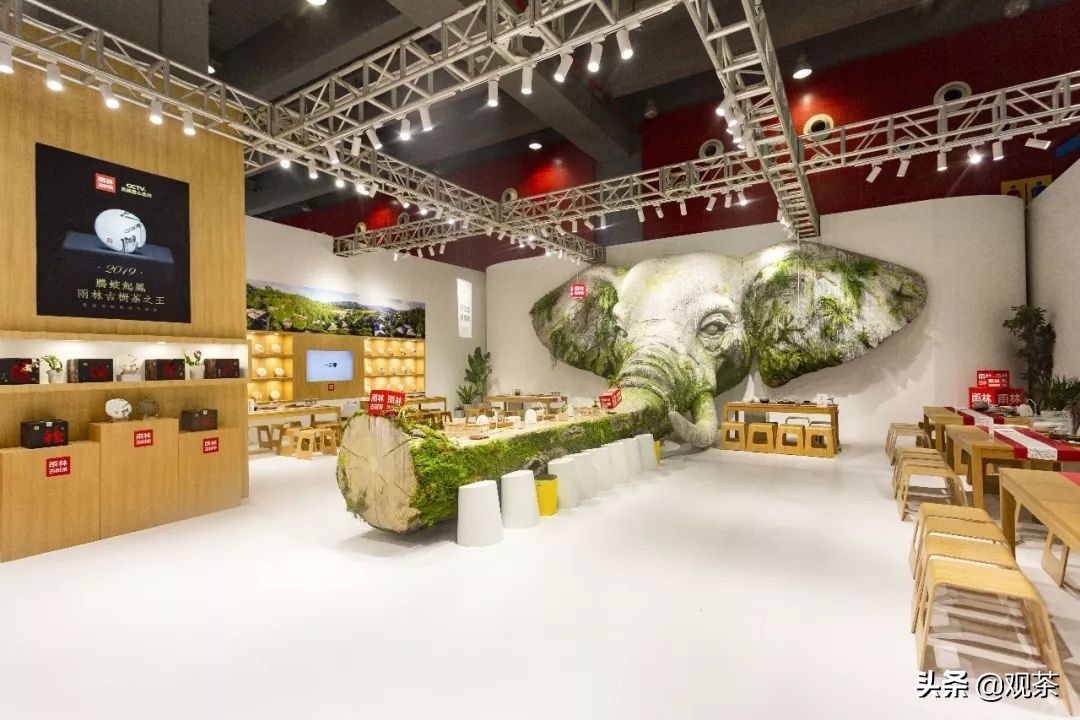 茶界创新还要看雨林