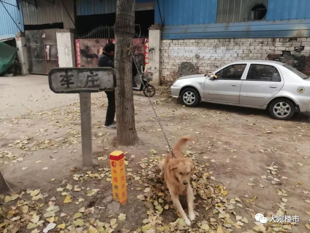 南阳国企,南阳国企排名一览表