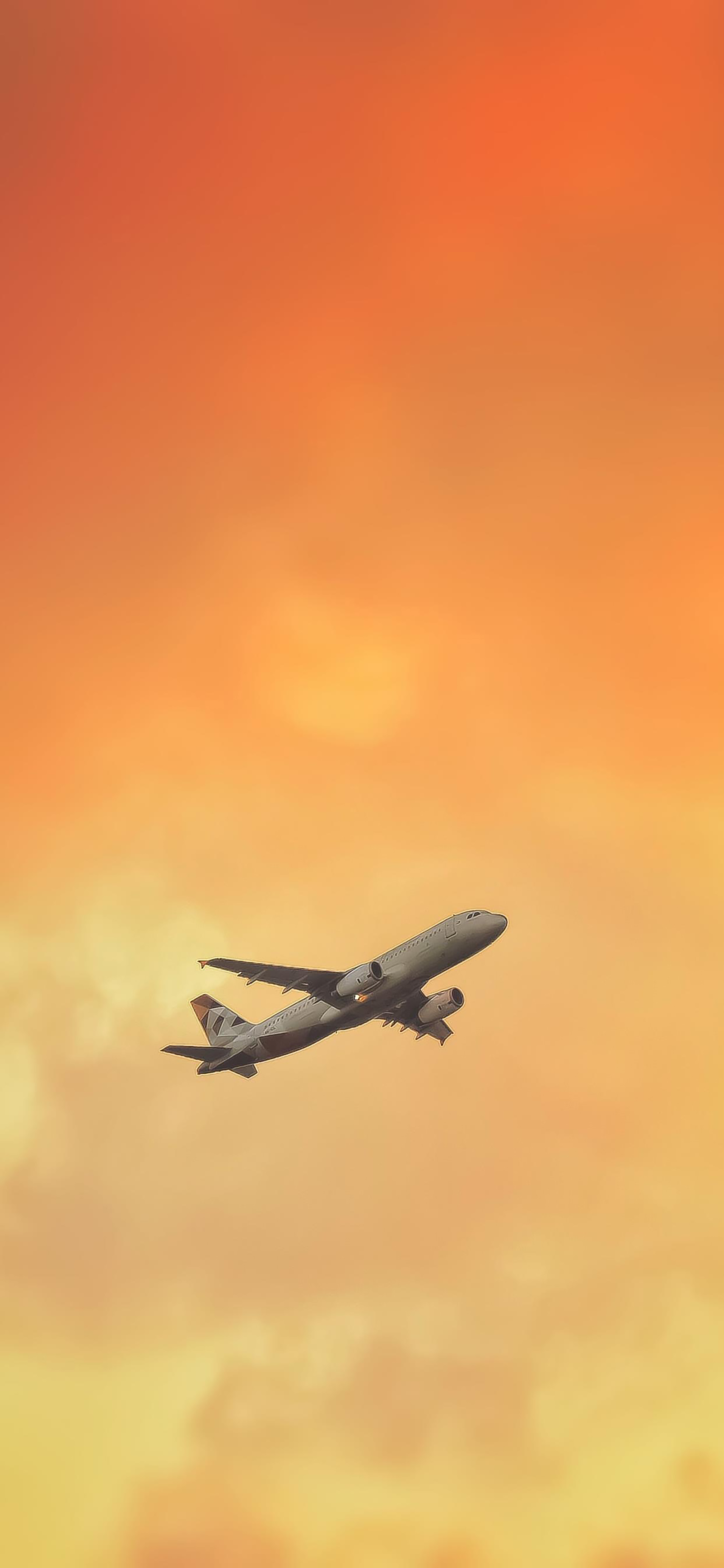 好看的壁纸少女心小熊,粉色小花白色小熊壁纸