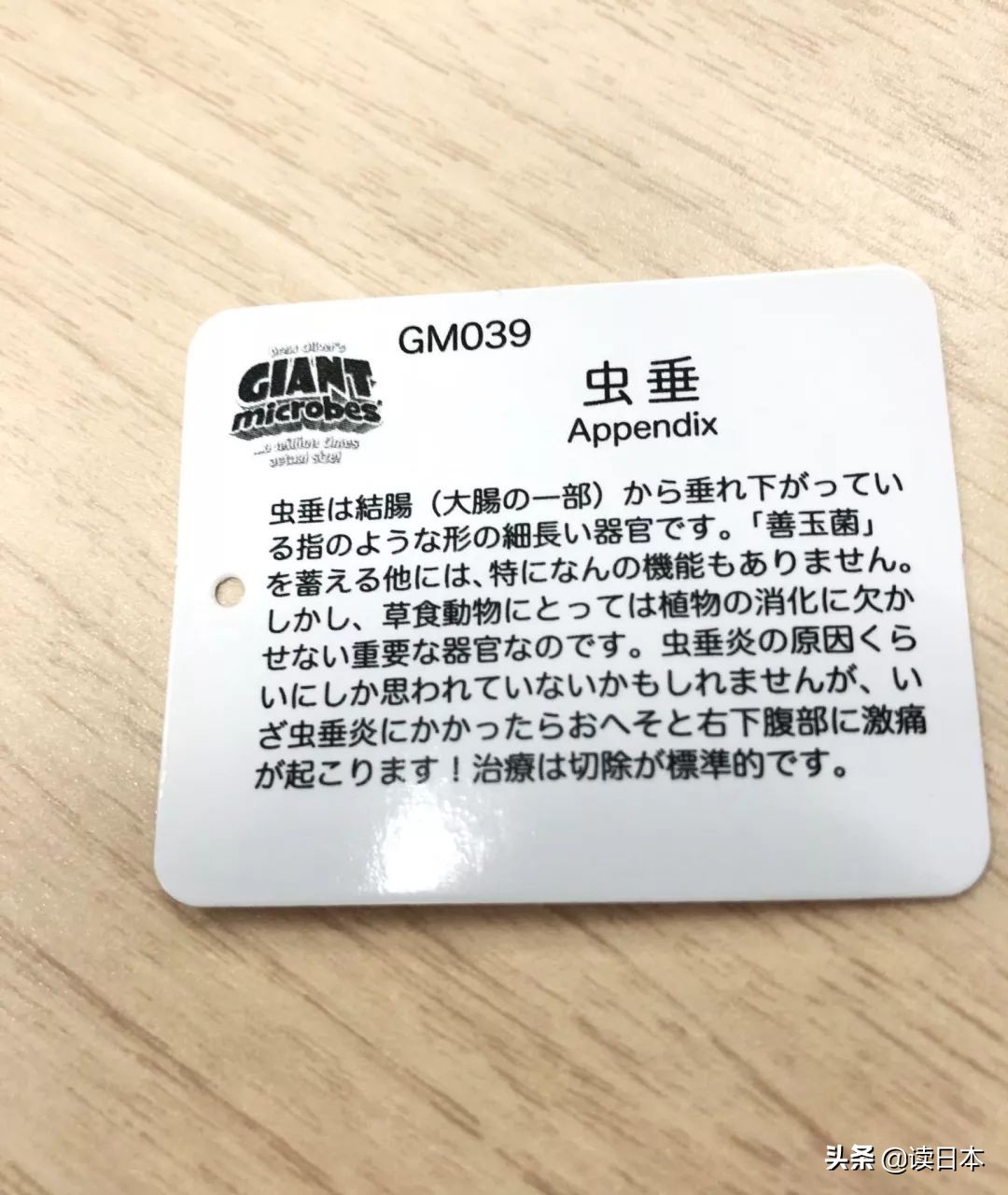 “*体器人官**”挂件或成为日本最新潮流?网友:我的钱包又要哭了