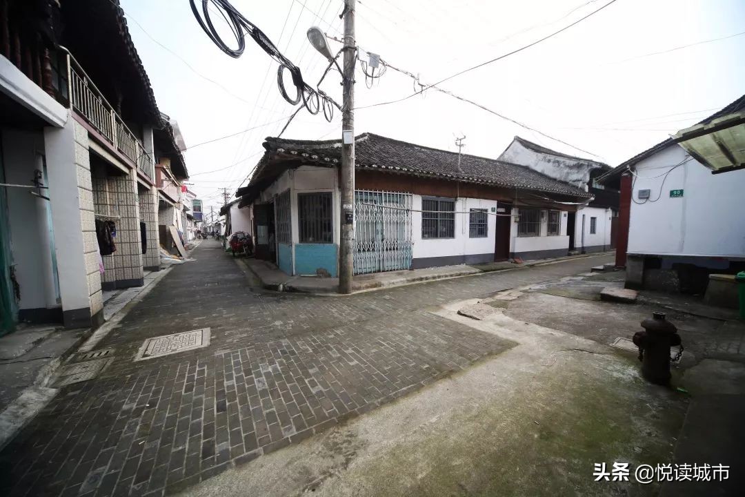 金秋赏“金”：新老照片对比金山发展老金山都不一定认得全