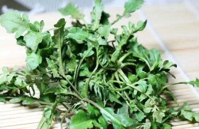 武穴又到挖野菜的时候了，江边好多人都在挖野菜，你吃了吗？