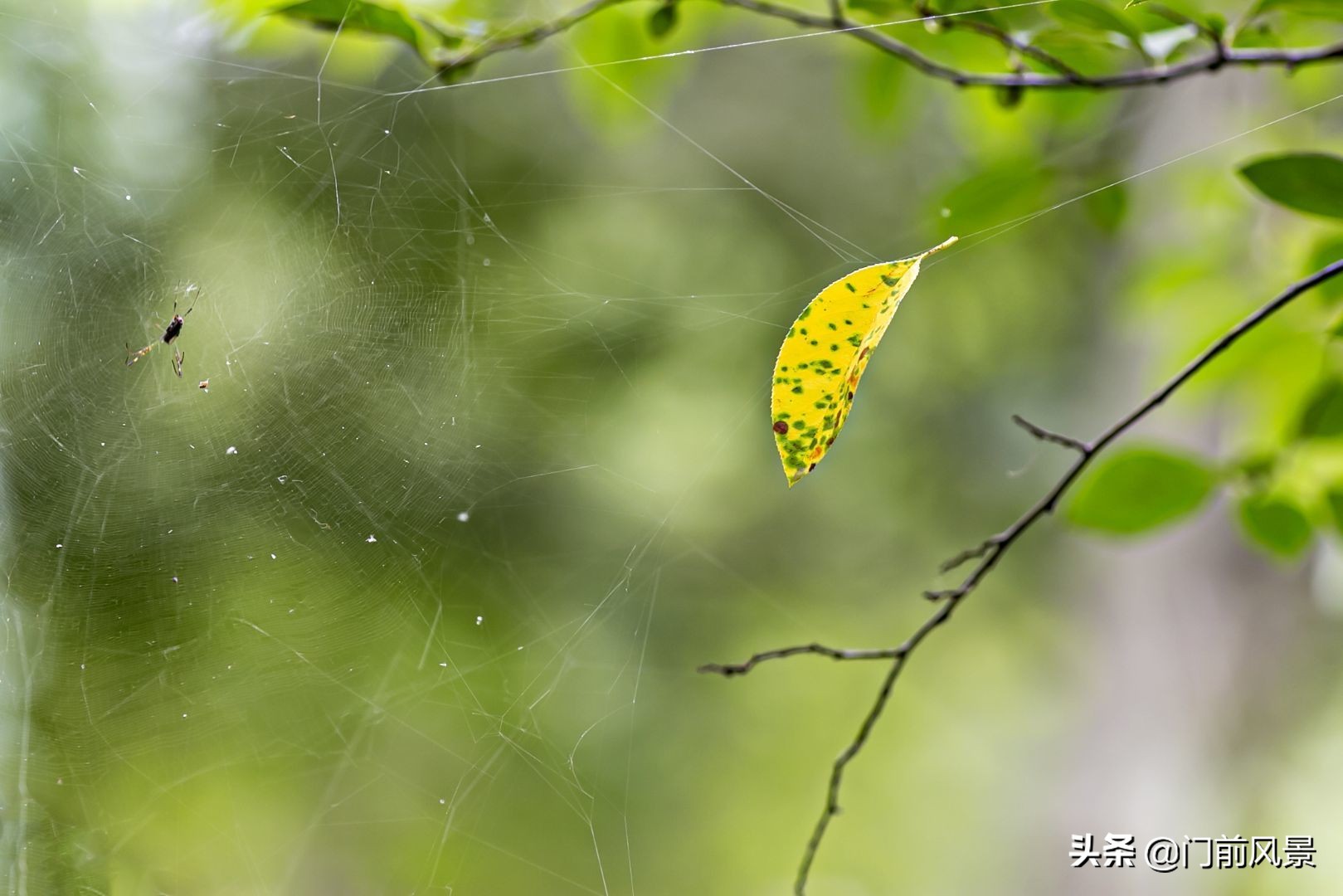 何以解烦唯有听歌,何以解忧愁唯有静心