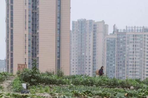 犀浦三十载，国际都会到城乡结合部的水逆