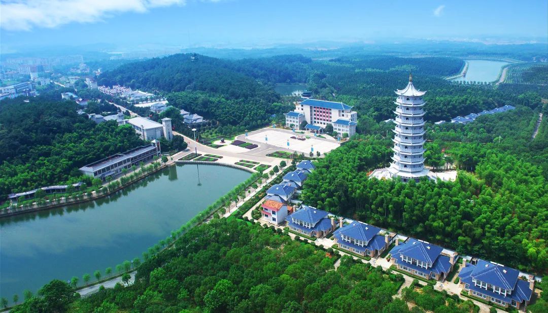 蓝城史诗级田园巨著，或将引领十万武汉人“上山下乡”