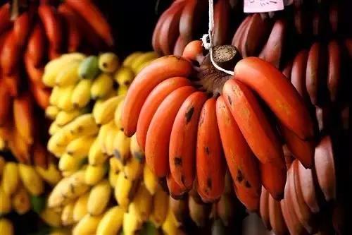 疫情过后一起去吃遍美食,疫情中的美食攻略