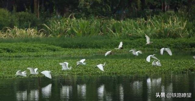 安徽省临泉县，1935年建县，人口二百余万，全国文化先进县