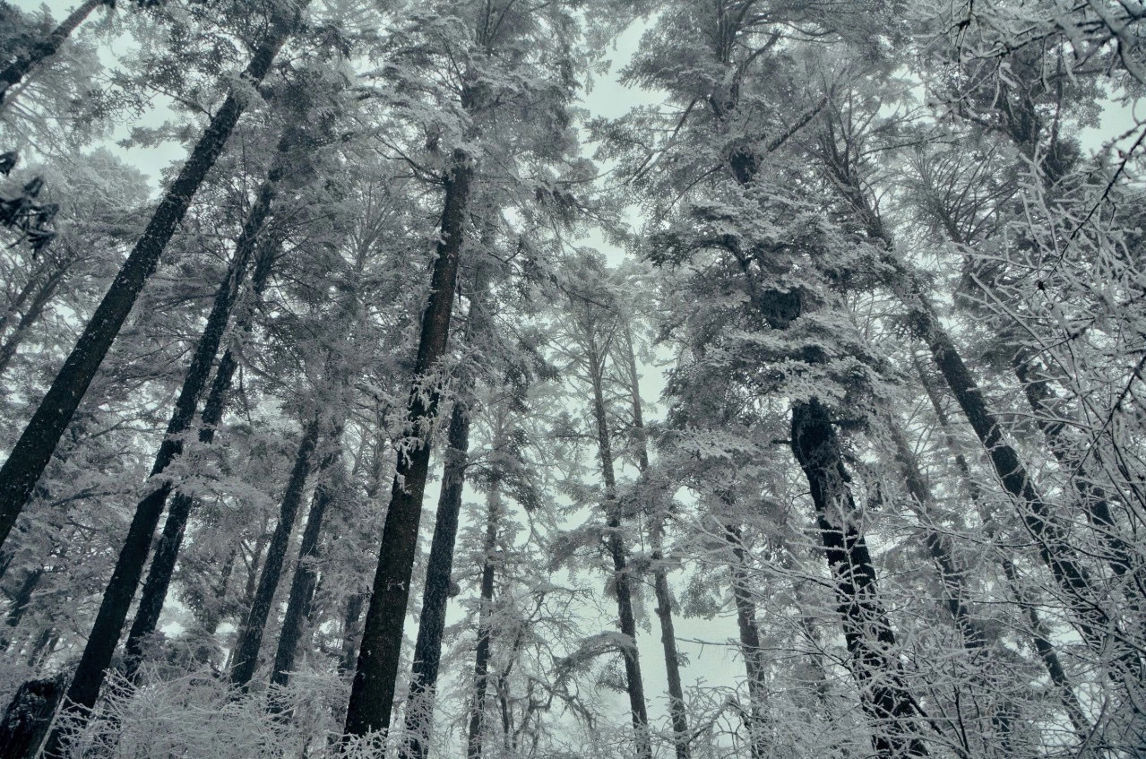 Chengduwow|借束光,请你免费去四川“小京都”泡私汤