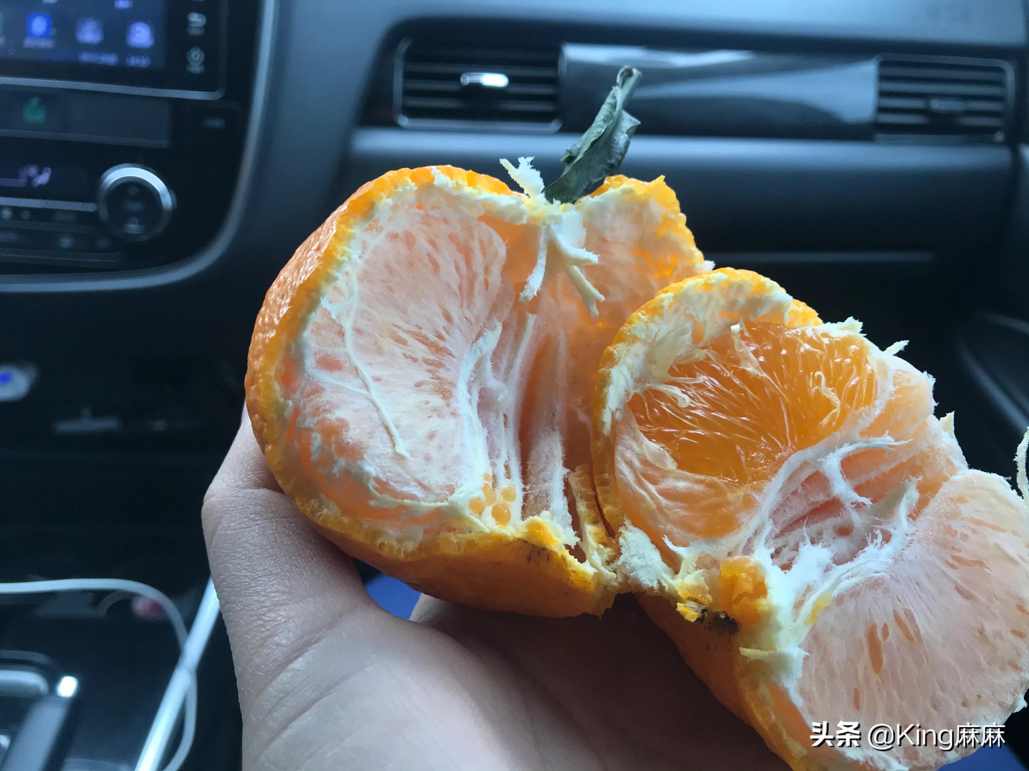 丑柑分公母吗,不知火丑柑怎么挑公母