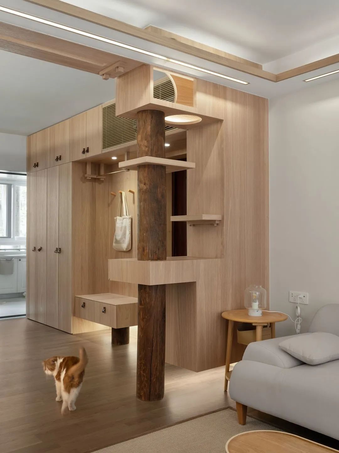 给猫自制的豪华猫屋,给猫咪改造猫屋