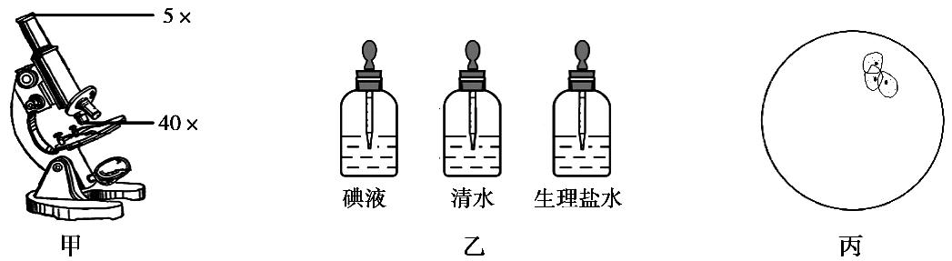 八年级生物中考新突破2024年,生物八年级上册达标测试卷