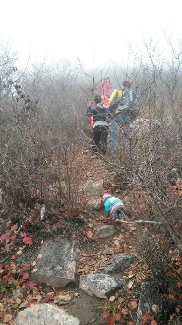 伸舌头的小鹿犬,爱洗澡的小鹿犬