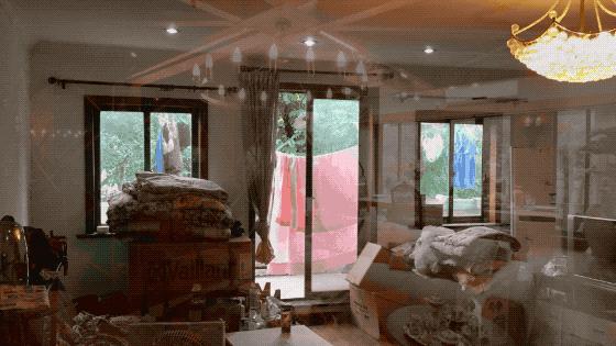 《安家》里的1.5亿豪宅屋主现身，揭秘天价房真实状况