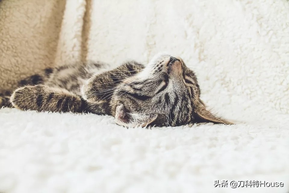 如果被鬼压床了有什么寓意吗,遇到了鬼压床我们该做什么