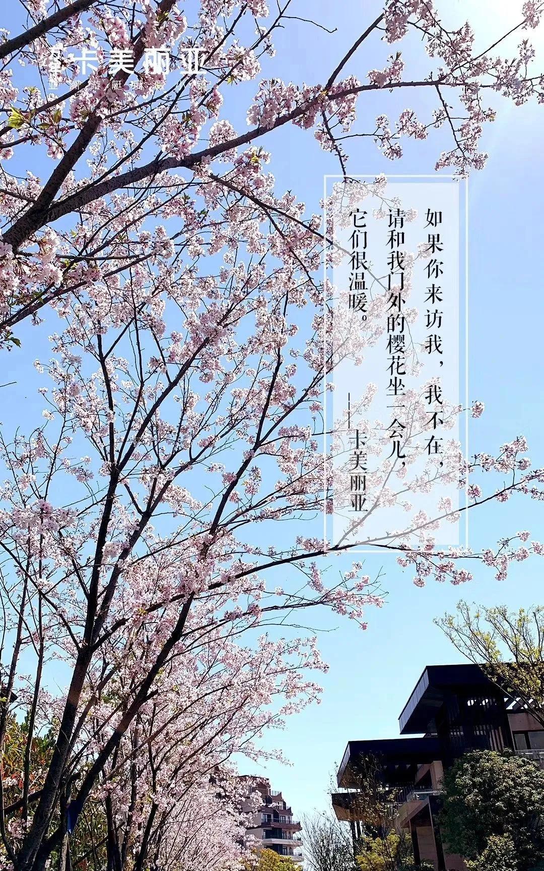 陈文令麦道夫最新信息 (陈文令对麦道夫的评价)