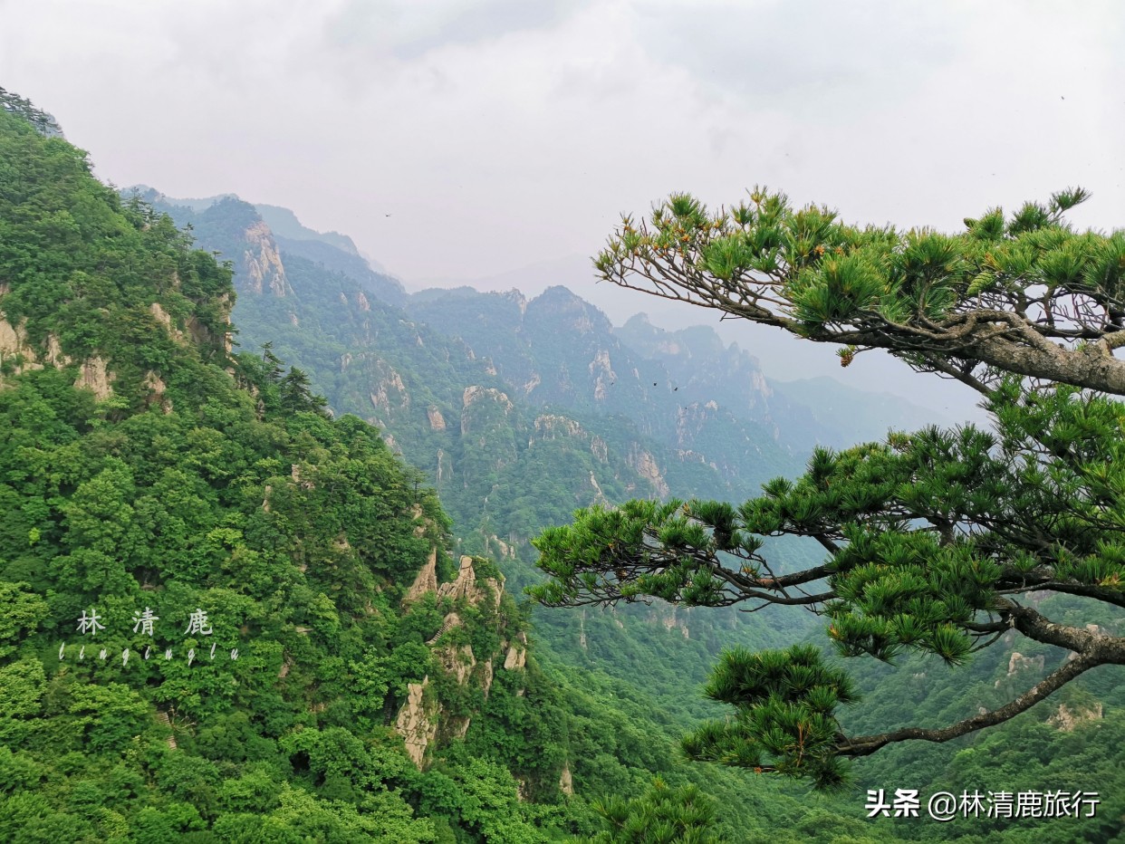 河南五一去哪玩比较合适自驾游,五一河南旅游3天最佳去处自驾游