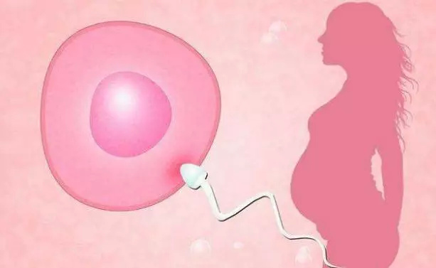 你问我答：月经后10天左右，有这个“感觉”预示要“排卵”了吗？