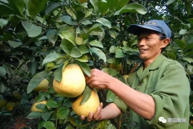 爱你没商量直播吗,爱你没商量海南