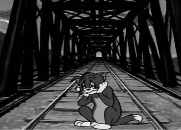 医生建议养猫治愈抑郁症,抑郁症养猫还是养狗好