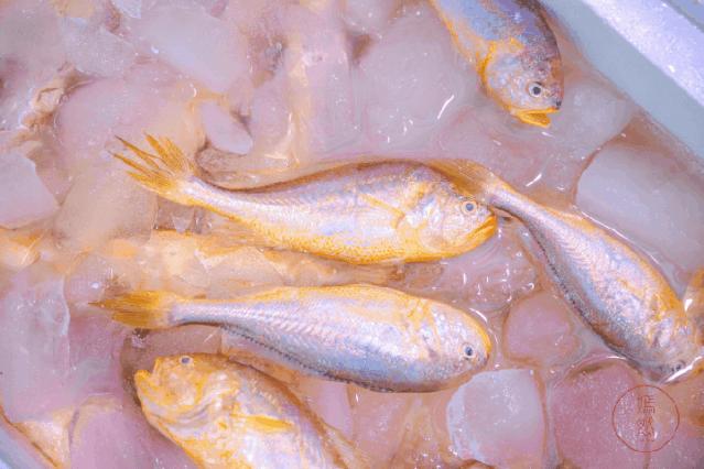 虎门新湾鸡煲,虎门新湾十大老字号美食