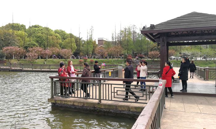 美丽的南湖公园夜景,南湖风景区真的太美了