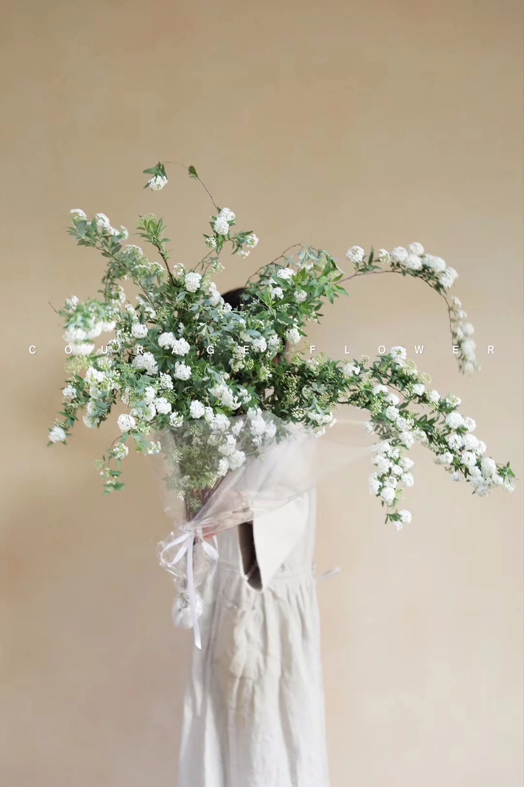 植库‖浪漫清新的小手球,为你带来氧气小森林