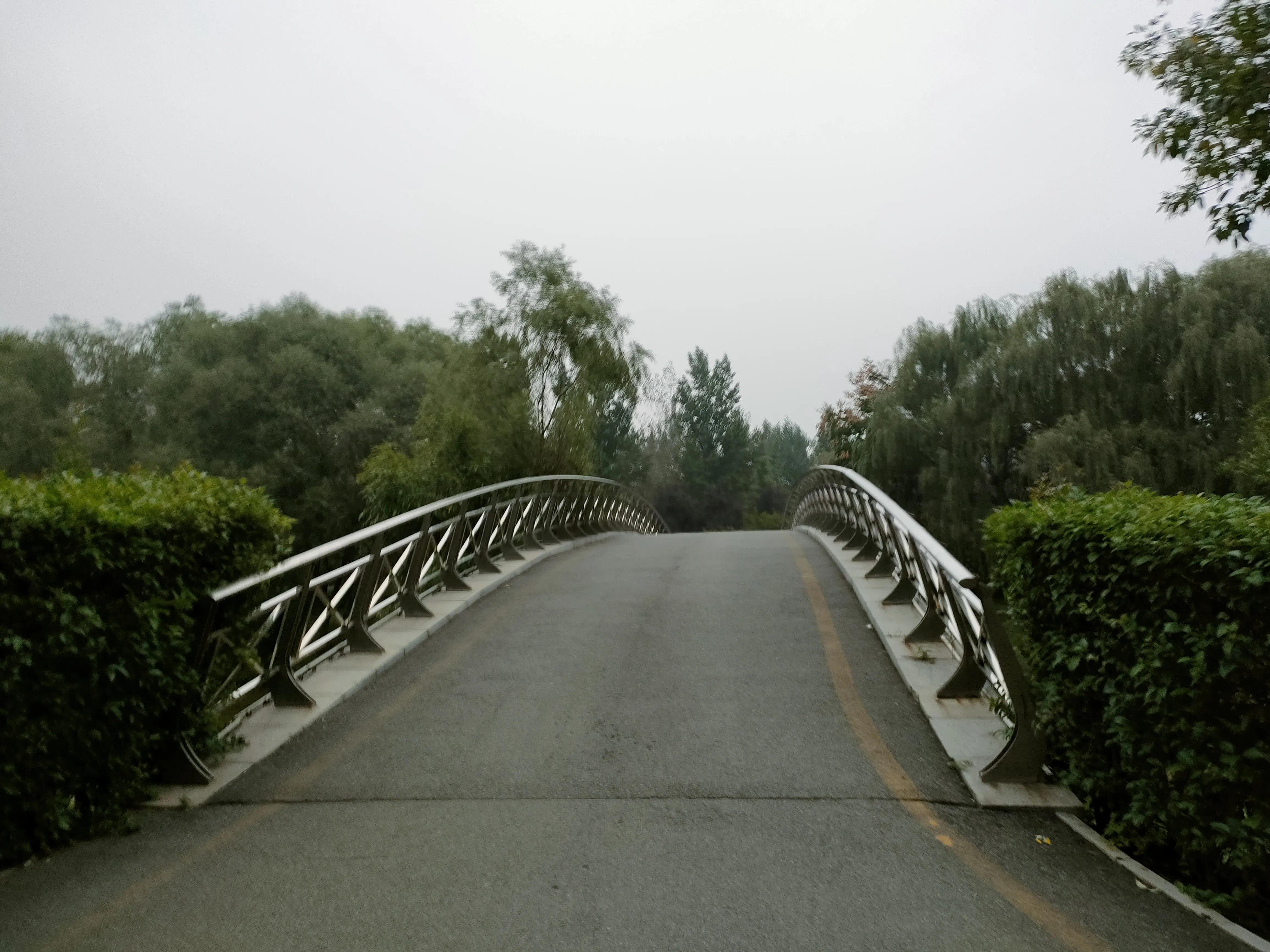 游西安曲江海洋极地公园,国庆去西安海洋极地公园